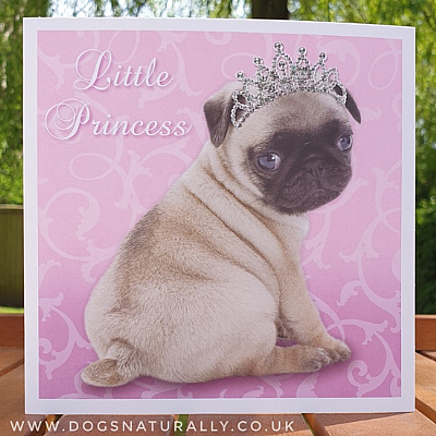 Little Princess Pug Birthday Card